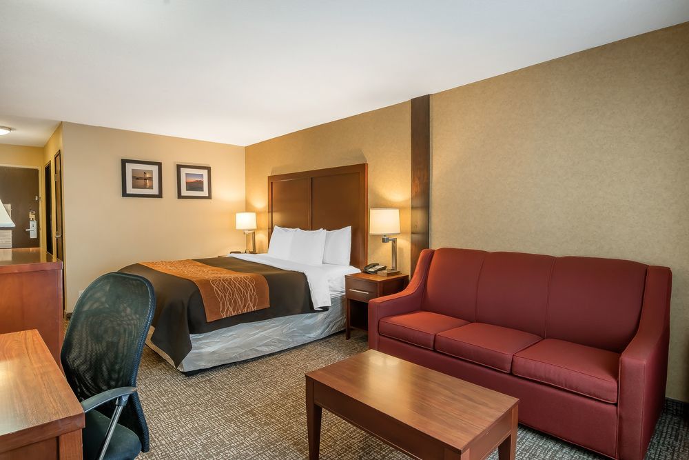 Comfort Inn & Suites Vancouver Downtown City Center Экстерьер фото